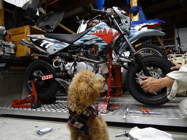 夜な夜な整備。