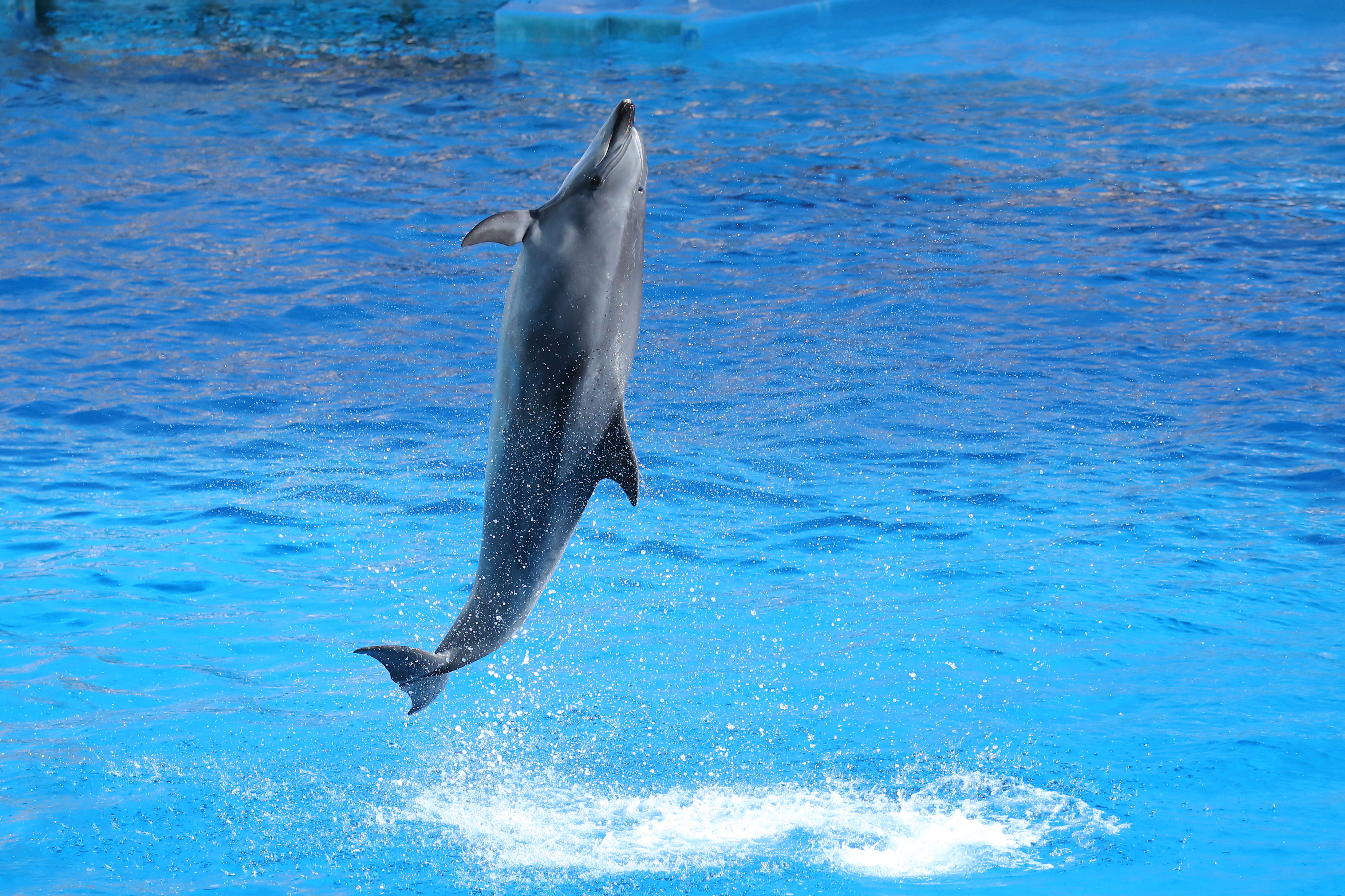お正月休みの最終日。