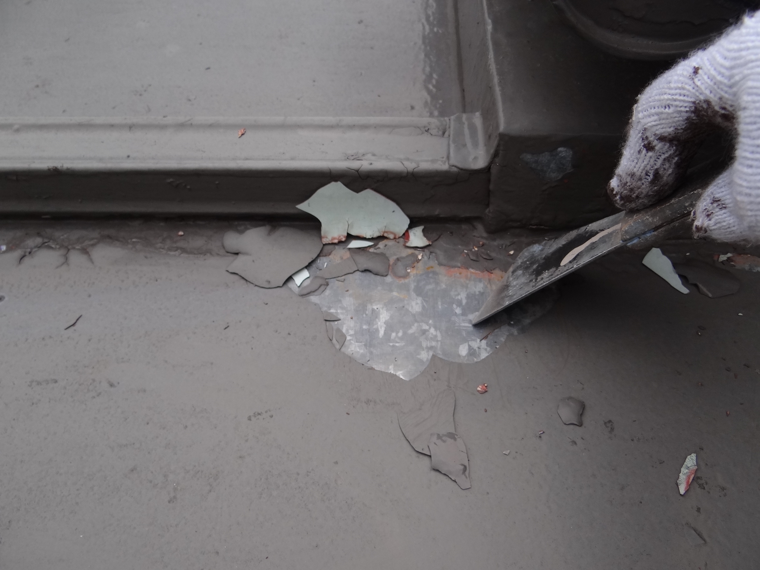 ピントが合わない。