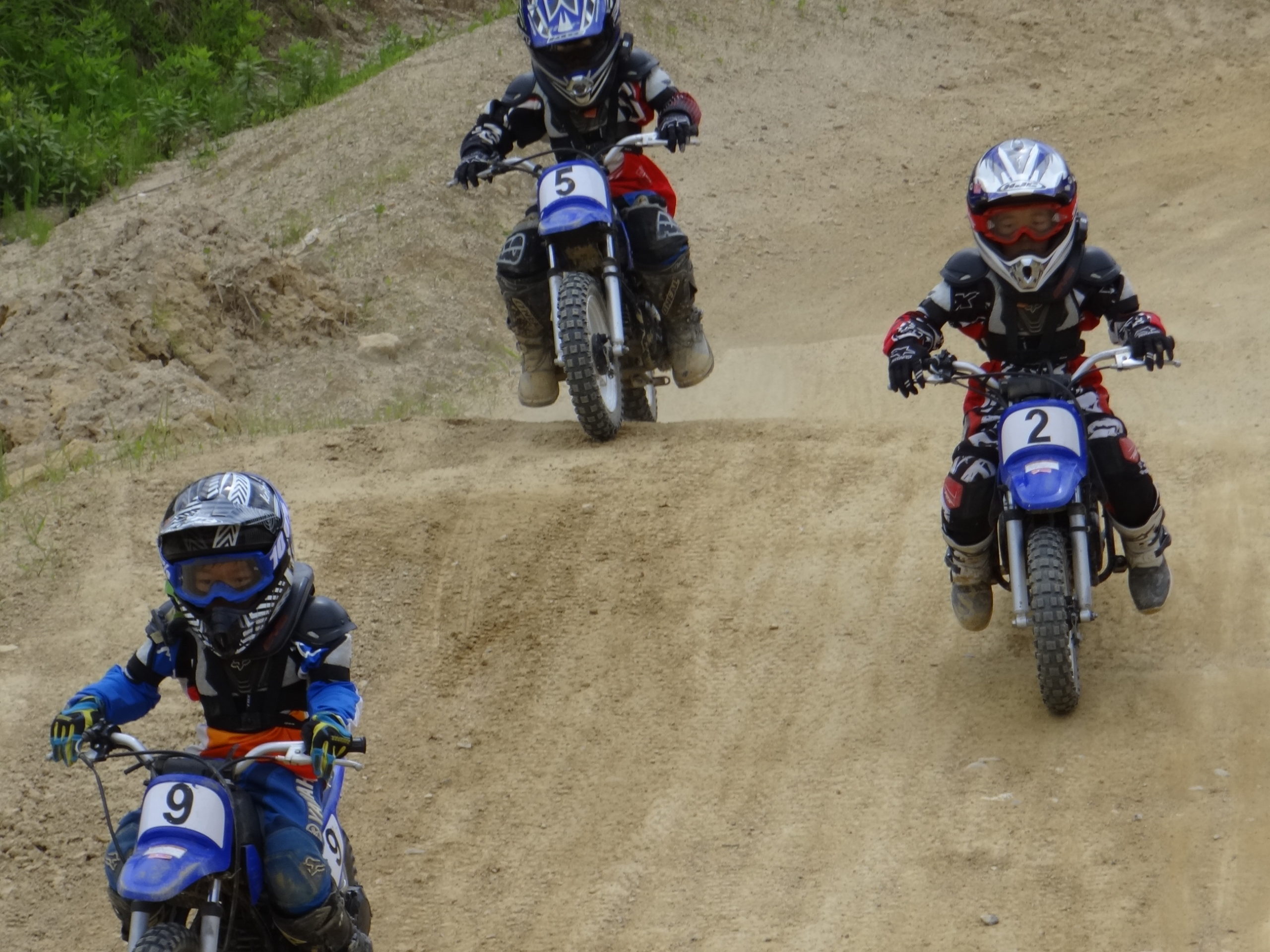 ヨチヨチ達のジャンプ。