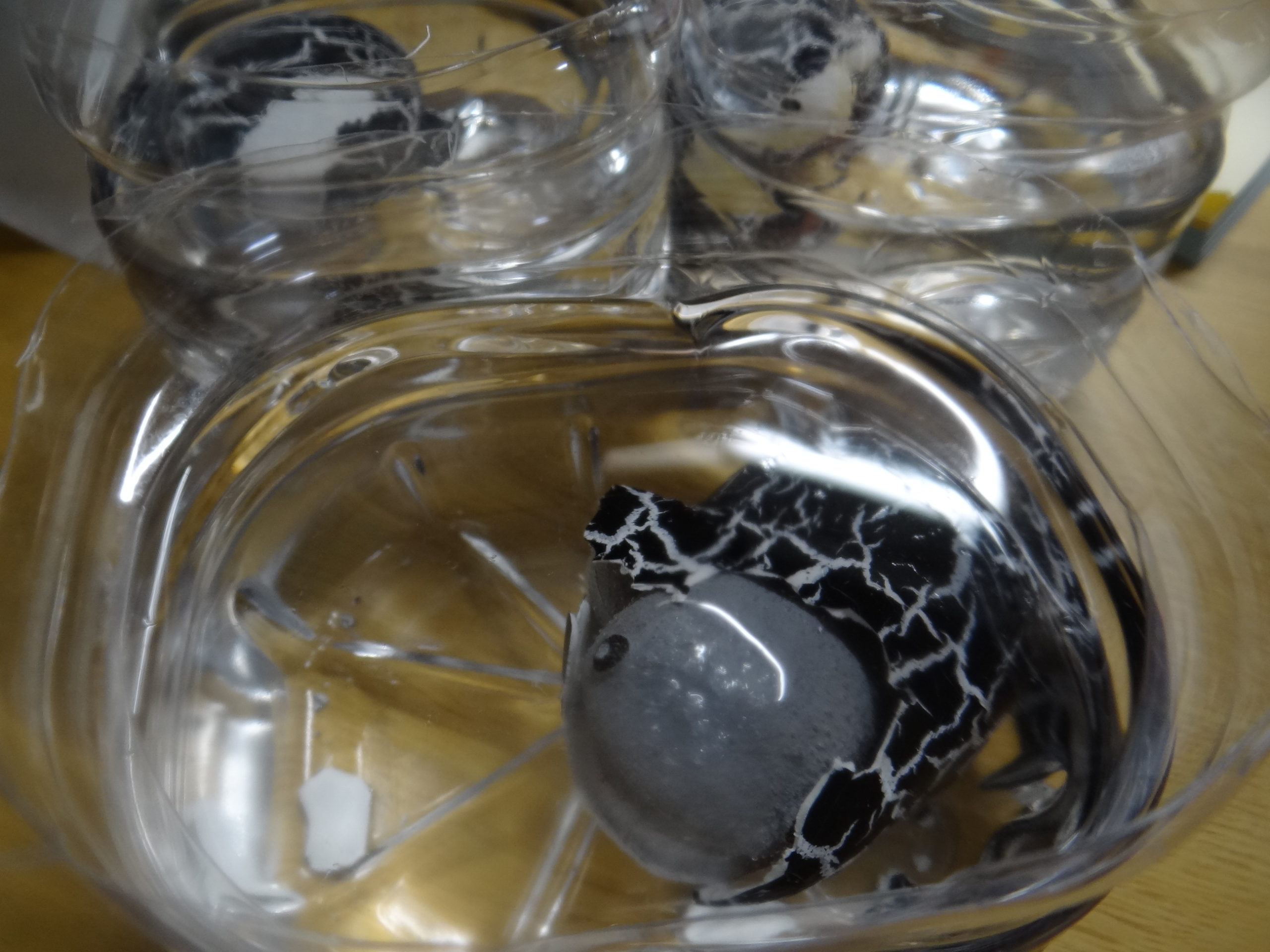 うれしかった。