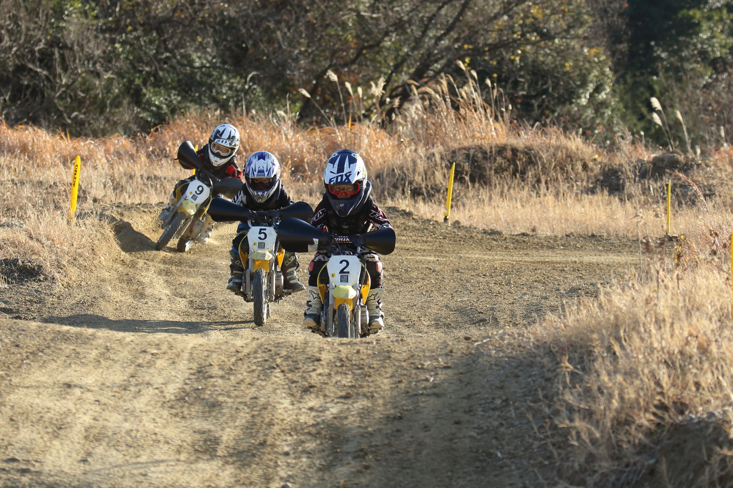 寒いけど元気よくヨチヨチ走行。