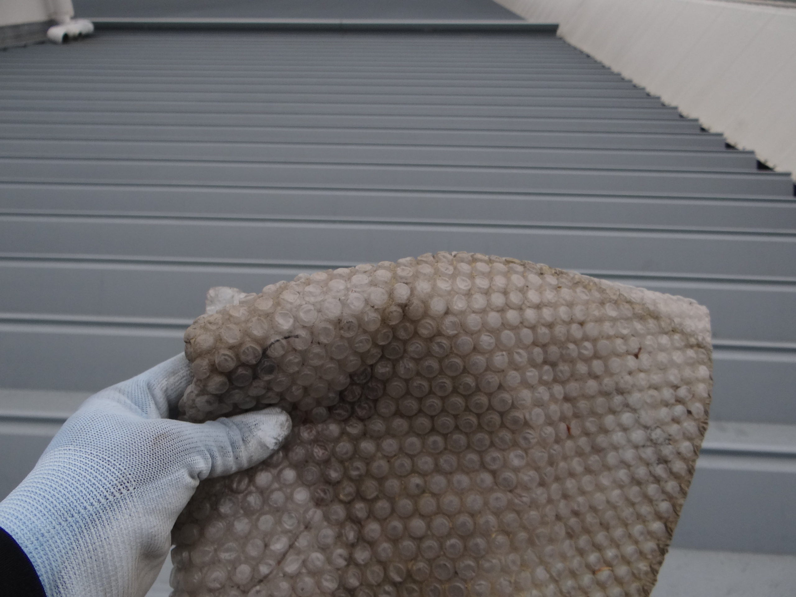 ゴソゴソな日。