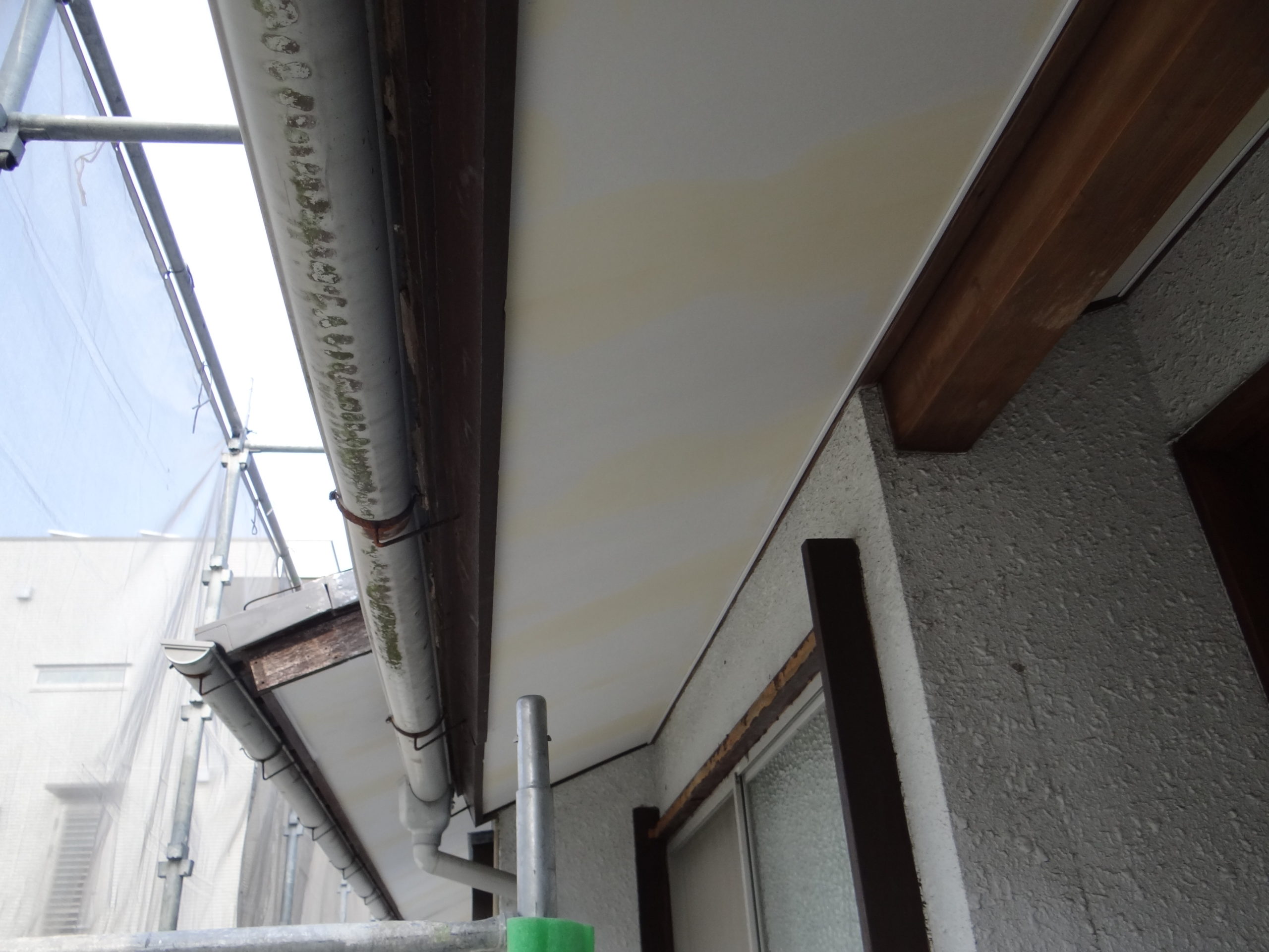 パテの仕上げ。