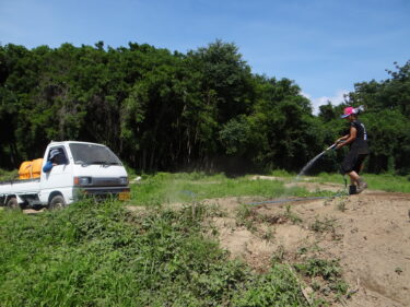 病み上がりの走行。