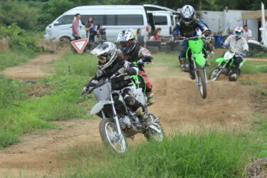 ぴよぴよ２日目。