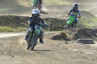 次男君の放牧。