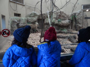 東山動植物園。